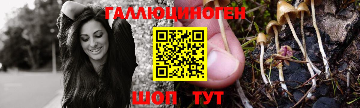 Зеленогорск  Галлюциногенные грибы ЛСД  Вход с VPN 