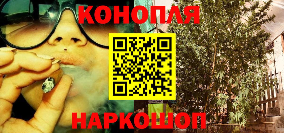 Шишки марихуана сатива Зеленогорск
